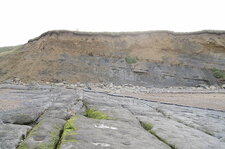 Falaises du Gris-Nez