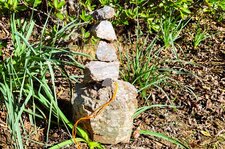 Gneiss Migmatitique