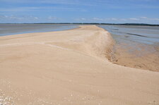 "Dos" de sable coquillier