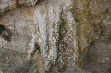 Stalactites dans caverne calcaire - Maurice