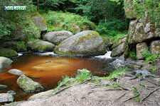 La Mare aux Sangliers