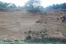 Alluvions quaternaires entre Assignan et Saint-Jean-en-Minervois