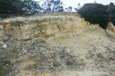 Calcaire lacustre 