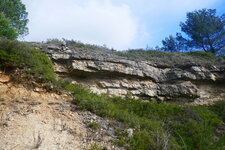 Calcaire à alvéolines Ilerdien