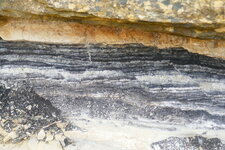 Lignite du Cuisien de Miverve