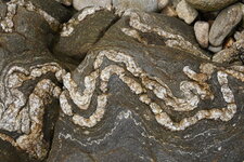 Filonnets de quartz dans panneau de gneiss - Île de Siec - Bretagne