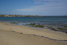 Tourbe fossile flandrienne - Plage de Meneham - Bretagne