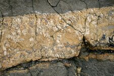 Détail de filon de pegmatite - Roscoff