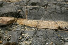 Filon de pegmatite - Roscoff