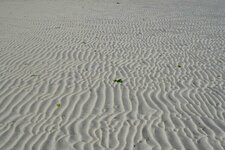 Rides de sable actuelles