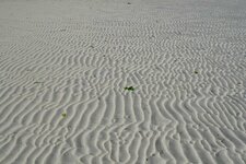 Rides de sable actuelles