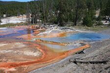 Sources hydrothermales de Firehole