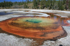 Sources hydrothermales d