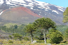 Cône adventif strombolien sur le Llaima