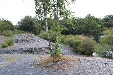 Schiste Ardoisier de Trélazé (Anjou)-Schiste d