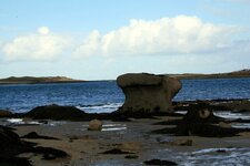 Un champignon dans la mer ?