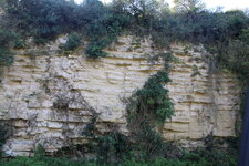 Falaises mortes de calcaire argileux d