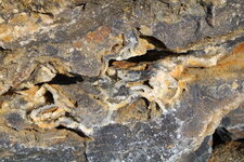 Minéralisation de quartz dans le lias silicifié des Sarts.