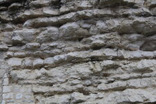 Falaise de calcaire jurassique à Fontenay-le-Comte