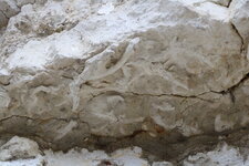 Traces négatives de bioturbation dans les calcaires jurassiques.