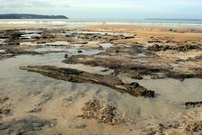 Tourbière fossile - Trezmalaouen - vue générale