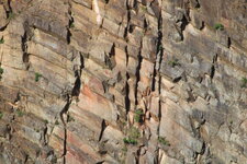 Prismes dans le microgranite du Vairé.