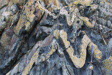 Plis dans les schistes briovériens