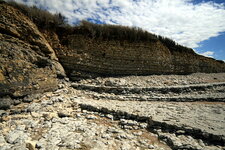 Calcaires blancs argileux / Pointe de Chassiron