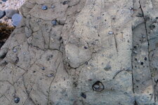 Conglomérat à éléments épars de la pointe du Lude