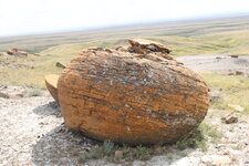 Concrétions gréseuse de Red Rock Coulee