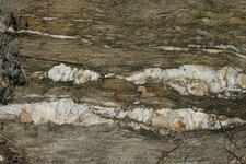 Lentilles de Quartz dans les micaschistes du Massif des Maures
