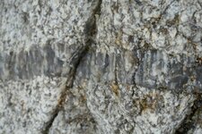 Filon de Pegmatite à texture harrisite.