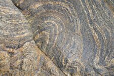 Plissements dans migmatites du Morbihan