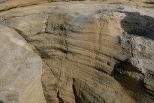 Bioturbation racinaire dans dune fossile