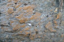 Cristaux de pyrite sombre.
