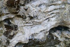 concrétion grès à ciment calcaire