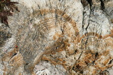 Concrétions de Calcite au Mont Saint Baudille