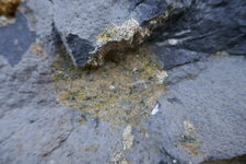 Nodule de péridotite dans les basaltes de Montferrier sur Lez