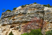 Molasse calcaire (Pierre du Midi) à Seignon