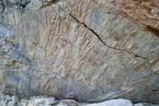 Stries de Failles sur un plan de la faille des Cévennes