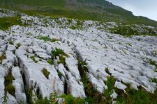 Lapiez désert du Platé