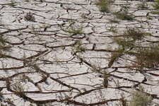 Fentes de dessication, Pampa de Leoncito.