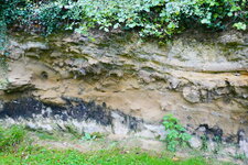 Grès calcaire lutétien de Sallertaine