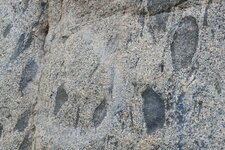 Enclaves basiques dans un Granite.