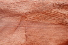 Stratification entrecroisée, Canyon de Shimpa, Talampaya P.N. 