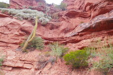 Grès rouges de la Cuesta de Miranda