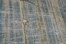 Stries glaciaires du Glacier Athabasca