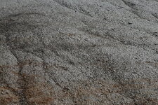 Montmorillonite(argile), Badlands à Royal Tyrell Museum