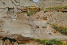 Hoodoos (demoiselle coiffée) dans Dinosaur P.P.
