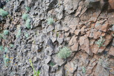 Détail du dyke de la Roque